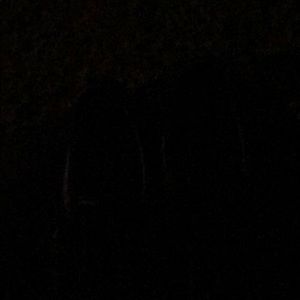 Allen Edmonds - dress shoes rubber sole’s